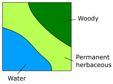 This conceptual map illustrates the spatial distribution of three basic land cover types within an unspecified square area, likely representing a pixel or larger land unit in a land cover inventory like the Copernicus Land Monitoring Service (CLMS) CLCplus Backbone. The land cover types are colour-coded and labelled: 'Woody' areas are depicted in dark green and are located in the top right portion of the square. 'Permanent herbaceous' areas are shown in light green, forming a diagonal band that separates the 'Woody' and 'Water' areas. 'Water' areas are represented in blue and occupy the bottom left portion of the square. The boundaries between these land cover classes are curved. The map lacks a scale bar, compass, or specific geographic reference.