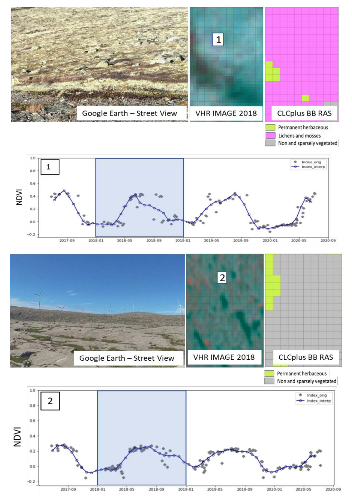This image presents two examples (1 and 2) illustrating land cover classification by the Copernicus Land Monitoring Service (CLMS) CLCplus Backbone Raster (BB RAS) product, comparing it with Google Earth Street View images, Very High Resolution (VHR) satellite imagery from 2018, and Normalized Difference Vegetation Index (NDVI) time series. **Example 1:** - **Google Earth – Street View:** Displays a close-up of a rocky, barren landscape dominated by pale, light-coloured lichens and mosses, with sparse reddish-brown vegetation. - **VHR IMAGE 2018:** Shows a grid of pixels (likely 20 m resolution) in shades of bluish-green and darker green/brown, representing the same area as the street view. - **CLCplus BB RAS:** Classifies the area within the pixel grid. The majority is magenta, labelled 'Lichens and mosses', with some pixels in the bottom left classified as yellow 'Permanent herbaceous'. - **NDVI Chart for Example 1:** A line chart showing NDVI values on the Y-axis (ranging from -0.2 to 1.0) against time on the X-axis (from 2017-09 to 2020-09). Two data series are plotted: 'Index_orig' (grey diamonds for original NDVI values) and 'Index_interp' (blue line with white circles for interpolated NDVI values). The chart displays a distinct annual seasonality, with peaks around 0.4 in late spring/early summer (e.g., May 2018, May 2019, May 2020) and troughs near 0.0 in winter (e.g., January 2018, January 2019, January 2020). A light blue shaded rectangle highlights the 2018-01 to 2019-01 period. **Example 2:** - **Google Earth – Street View:** Presents a wider view of an undulating, rocky landscape with visible wind turbines in the background. The foreground is mostly bare rock with sparse, low-lying vegetation. - **VHR IMAGE 2018:** Shows a grid of pixels for the second area in reddish-brown and dark green tones, reflecting sparse vegetation and bare ground. - **CLCplus BB RAS:** Classifies the area within the pixel grid. The majority is grey, labelled 'Non and sparsely vegetated', with some pixels in the top right classified as yellow 'Permanent herbaceous'. - **NDVI Chart for Example 2:** Similar line chart to Example 1, with NDVI on the Y-axis (-0.2 to 1.0) and time on the X-axis (2017-09 to 2020-09). It also plots 'Index_orig' (grey diamonds) and 'Index_interp' (blue line with white circles). This chart shows lower overall NDVI values compared to Example 1, with annual peaks around 0.2 to 0.3 in late spring/early summer and winter values closer to -0.1 to 0.0. A light blue shaded rectangle highlights the 2018-01 to 2019-01 period. **Shared Legend:** The CLCplus BB RAS classification uses three colours and labels: - Yellow: Permanent herbaceous - Magenta: Lichens and mosses - Grey: Non and sparsely vegetated