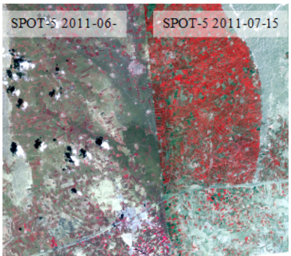 Satellite imagery displaying a comparison of an agricultural area using SPOT-5 data from two dates in 2011. The left portion of the image, labelled 'SPOT-5 2011-06-', shows a landscape with predominantly grey-green vegetated areas, some scattered reddish patches, dark irregular features (likely water bodies or shadows), and white cloud cover. The right portion, labelled 'SPOT-5 2011-07-15', shows a significant increase in vigorous vegetation, depicted as prominent reddish-pink areas, with distinct curvilinear patterns characteristic of actively watered center pivot irrigation systems within agricultural fields. This comparison highlights the rapid development and spectral signature change of irrigated land over a short period during the summer, used for classification of '2.1.1.0 Arable irrigated and non-irrigated land'.