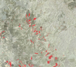 This image displays a high-resolution satellite view of a predominantly agricultural landscape. The terrain is characterised by numerous irregularly shaped land parcels, indicative of individual fields or crop plots. The majority of the visible land cover appears in shades of light green and beige, suggesting a mix of agricultural fields, some possibly bare soil or fallow, and others with early-stage vegetation. Scattered throughout this matrix are distinct, irregularly shaped patches of bright red. In remote sensing false-colour composites, such red colouring often indicates actively photosynthesizing vegetation or specific land cover types. These red areas are distributed across the landscape, varying in size and shape, suggesting specific types of crops, vegetation, or land use classifications. Some darker green/brown areas, possibly representing forest patches or different crop types, are also visible. Linear features, likely roads or tracks, crisscross the landscape as thin, lighter lines. Small, light grey or white clusters indicate sparse settlements or farmsteads. The image provides a regional view where individual buildings are not discernible, but land fragmentation and broader land use patterns are clear.