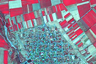 This is a false-colour composite satellite or aerial image depicting a rural or semi-rural landscape, highlighting various land cover features. In the central area, a dense settlement, likely a village or small town, is visible. It features numerous buildings with light-coloured rooftops and abundant green vegetation, possibly trees and gardens, arranged within a generally grid-like pattern of property divisions. The area surrounding the settlement is primarily agricultural land, characterized by many fields. Many of these fields appear in vibrant red or magenta hues, indicating healthy vegetation, consistent with a false-colour infrared composite typically used to differentiate vegetation types and health. Other fields display lighter brown, beige, or pale green colours, suggesting bare soil, harvested areas, or different crop types/growth stages. The fields are delineated into distinct rectangular and irregularly shaped plots. On the left side of the image, a dark, curvilinear feature, likely a river or stream, is visible, bordered by some darker vegetation.