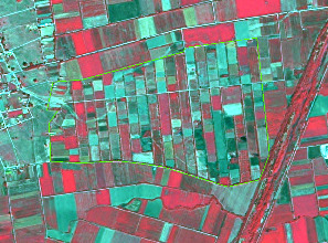 The map displays false-colour aerial imagery depicting an agricultural landscape characterized by a mosaic of rectangular and irregularly shaped fields. The fields show varied tones, with strong reds typically indicating healthy or actively growing vegetation, and greenish-blue areas suggesting different crop types, less vigorous vegetation, or bare soil. A prominent green polygon outlines a large, contiguous block of these fields, delineating a specific land parcel or area of interest. A distinct linear feature, possibly a road or canal, runs along the right edge of the image, appearing in dark red and grey tones. No specific geographic location, scale bar, compass orientation, legend, or data source/year is provided.