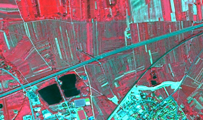 This map displays a false-color composite derived from satellite imagery, showcasing a diverse landscape composed of agricultural, urban, water, and transport infrastructure features. A prominent multi-lane highway, appearing as a thick cyan linear feature, traverses the image diagonally from top-left to bottom-right, with an overpass visible. Extensive agricultural fields dominate the central and upper parts of the image, appearing in varying shades of red; bright red indicates vigorous, healthy vegetation, while darker red or reddish-brown likely represents bare soil or harvested fields. Interspersed within these fields are smaller linear white features, indicating field boundaries or minor tracks. In the lower-left quadrant, two dark blue, nearly black, water bodies (likely ponds or lakes) are visible next to the highway. Adjacent to these water bodies, there are light cyan structures suggesting built-up areas such as industrial facilities or sports complexes (e.g., a sports field with a track). The lower-right quadrant features a moderately dense urban or suburban area, characterized by a network of cyan roads and numerous smaller cyan building footprints, intermingled with areas of reddish vegetation. A light cyan river or canal-like feature runs from near the highway towards the urban area. No scale bar, compass, legend, or reference year is visible.