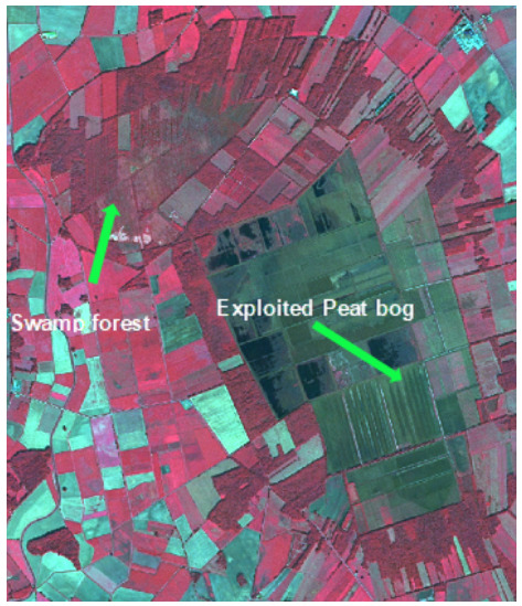 This false-colour satellite image, acquired on 2011-07-10 by SPOT-5 at 2.5 m resolution using a 1/2/3 Band Combination, depicts a landscape near Kisbodak, Hungary, along the Danube River. The image highlights two primary land cover features: 'Swamp forest' and an 'Exploited Peat bog'. The 'Swamp forest' is located on the left side of the image, appearing as an irregularly shaped, dark reddish-brown area. To the right, the 'Exploited Peat bog' is identified as a large, dark greenish-blue rectangular area characterized by distinct parallel linear patterns. The broader area displays a mosaic of other land cover types, including agricultural fields and potentially other forests, rendered in shades of red, magenta, and green. The image source is CNES 2011©, Distribution Airbus DS/Spot Image.
