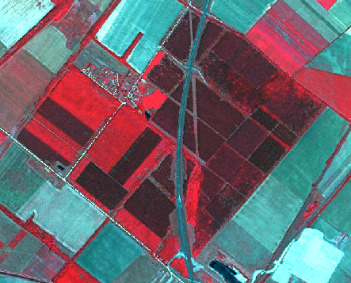 A false-colour infrared satellite image displays an agricultural landscape dominated by rectangular fields and linear features. Healthy vegetation appears in shades of red and pink, with varying intensities indicating different vegetation types or growth stages across numerous cultivated fields. Darker red and brown rectangular areas are interspersed with lighter red fields. A prominent dark linear feature, possibly a main road or canal, runs vertically through the image, with a narrower parallel linear feature adjacent to it. Other thinner linear features delineate field boundaries. Several light blue to cyan areas are visible, notably in the bottom right corner, representing water bodies such as ponds or flooded areas. No scale bar, text labels, or geographic coordinates are visible.