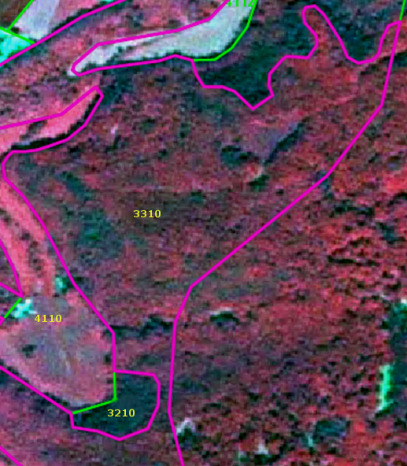 An aerial or satellite false-colour infrared image displays a segmented landscape, likely in Germany, with various land cover units from LUCAS 2012 data. Healthy, dense vegetation appears in shades of dark reddish-brown, indicative of forest cover in false-colour infrared imagery, while other areas show lighter brownish-green tones. Overlaid polygons, outlined in magenta and green, delineate distinct land cover classes. A large, central polygon, predominantly outlined in magenta, is labelled '3310', which represents Mixed forest, consistent with the document's accompanying description of *Pinus sylvestris* and *Quercus petraea*. Other labelled land cover units include a polygon marked '4110' (showing lighter brownish-green vegetation) in the lower-left, a smaller green-outlined polygon labelled '3210' (darker vegetation) also in the lower-left, and a partially visible green-outlined polygon labelled '4112' at the top-centre.