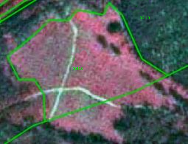 False-colour satellite image from SPOT-5 (2.5 m) using 1/2/3 band combination, dated 2011-07-10, showing a land area at the Danube river side in Hungary. The image features a large, irregularly shaped area in reddish-pink tones, identified as a forest clear-cut, delineated by a green polygon and labelled with the numeric code '3410'. This clear-cut area displays scattered lighter streaks, possibly paths or areas with coarser texture, consistent with young clear-cuts. Surrounding this area are darker green tones, likely indicating existing forest or dense natural vegetation, also delineated by green polygons. One such surrounding area is labelled with the numeric code '3210'. The image provides visual support for distinguishing forest clear-cuts from surrounding forested and natural grassland environments.