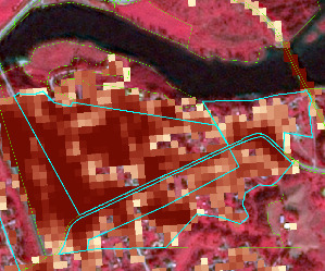 The image displays false-colour satellite imagery of a landscape featuring a dark blue river winding through the upper portion. Vegetated areas appear in shades of red, indicating the use of near-infrared bands, while other features appear in greens, browns, and lighter tones. Overlaid on this background imagery is a gridded thematic data layer, represented by square pixels. These pixels exhibit a gradient of brown colours, ranging from light beige to dark reddish-brown, where darker shades indicate higher values and lighter shades indicate lower values. The specific meaning or units of these values are not provided as no legend is present. Two light blue (cyan) polygons outline a large, irregular area in the central-left, with a smaller, partially overlapping polygon inside. Additionally, several green dashed lines indicate smaller boundaries, likely agricultural parcels or fields, particularly on the left side of the image. There is no scale bar, compass, or specific geographic label visible.