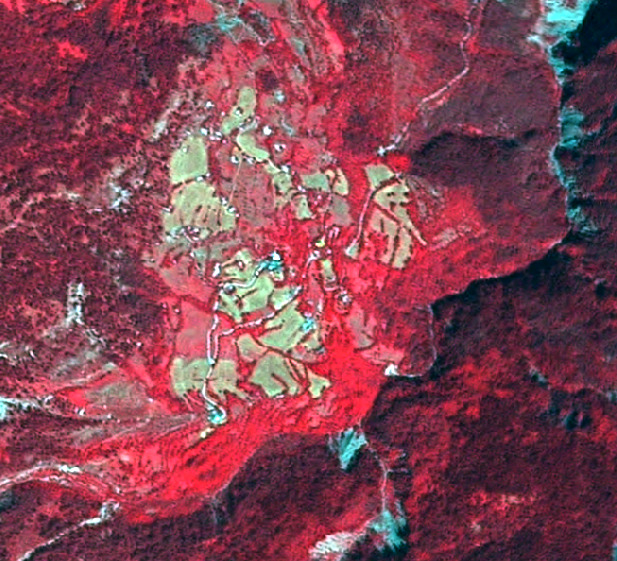 False-color satellite imagery depicting a rural landscape, likely from the Copernicus Land Monitoring Service (CLMS), where healthy vegetation appears in shades of red. The image shows a central cluster of irregularly shaped, light green to yellowish-green parcels, characteristic of managed grasslands or agricultural fields, possibly used for hay production or grazing. These parcels are extensively surrounded by dense, dark red vegetation, indicating forested areas. Several narrow, winding linear features, appearing in light blue or white, are visible, suggesting the presence of water bodies (rivers or streams) or unpaved tracks/roads, particularly within the forested and transitional zones. The image provides a high-level view of land cover types and their spatial arrangement without specific geographic or temporal annotations.