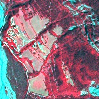 A false-colour infrared satellite image depicts a mixed rural landscape featuring forests, agricultural fields, settlements, and a river. Dense vegetation, likely forests or woodlands, appears in dark red due to high near-infrared reflection, occupying the right side and large patches in the upper and lower central areas. Agricultural fields or open grassland are visible as lighter green-tan patches with irregular boundaries, some showing linear patterns indicative of cultivation, particularly in the central and upper-left regions. Built-up areas or individual buildings are represented by white and light blue patches, concentrated in a settlement in the upper-left, with smaller structures scattered throughout the fields. Winding light grey lines indicate roads or paths connecting these areas. A body of water, appearing light blue, flows along the left edge of the image, consistent with a river or stream. No scale bar or date information is visible.