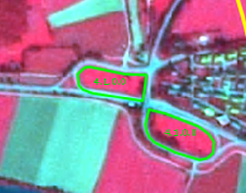 False-colour satellite image displaying different land cover types in a European mountain region, dated 2011-08-27, from Spot 5 (2.5 m) imagery with a 1/2/3 band combination. The image highlights two areas of 'Managed grassland' (labelled 4.1.0.0) with a red hue and outlined in green, situated adjacent to light-coloured roads. Surrounding these grasslands are other light green agricultural fields, and a darker, textured area with small white features indicating an urban or village infrastructure. The two classified grassland parcels appear to be distinct, relatively homogeneous areas within a mosaic landscape of agriculture and built-up land.