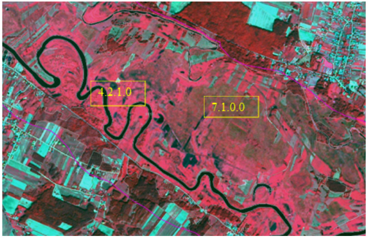 A false-colour satellite image displays a rural landscape featuring a winding river, with distinct areas annotated by numerical classification codes. The river appears as a dark blue, meandering feature. Vegetation is rendered in shades of red, with dark red indicating dense vegetation (likely forests) and lighter red/pinkish tones representing less dense vegetation, such as grasslands or agricultural fields, some of which are delineated into rectangular plots. Cyan and white tones are visible in the top right, suggesting urban or built-up areas. Two yellow rectangular boxes highlight specific locations: '4.2.1.0' is positioned over an area of less dense vegetation directly adjacent to a river bend, and '7.1.0.0' is located over a larger area of mixed, lighter vegetation further from the river. These numerical labels likely correspond to a hierarchical land cover or habitat classification system, such as the EUNIS habitat classification or CORINE Land Cover (CLC) scheme, used for identifying specific land use or land cover types. Thin purple lines are visible traversing the landscape, potentially indicating infrastructure or administrative boundaries. No scale bar, compass, legend, or explicit geographic location is provided in the image.