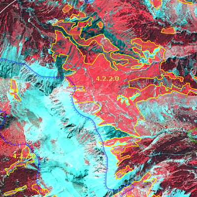 This map displays a satellite image of an Alpine region, showcasing various land cover types. The image uses a SPOT-5 1/2/3 Band Combination (Near-Infrared, Red, Green), where vegetated areas appear in shades of red due to strong infrared reflection. The satellite image has a resolution of 2.5 m. The visible land cover features include: * **Red to dark red areas:** Represent dense vegetation, likely high permanent grasslands and some forested areas, consistent with infrared band interpretation for healthy vegetation in a mountain environment. A large continuous area outlined in yellow in the upper and central-right is explicitly labelled '4.2.2.0', identifying it as a specific Alpine grassland land cover class according to the document's nomenclature guideline. Other smaller patches also outlined in yellow are scattered throughout the red areas. * **Light blue/cyan areas:** Dominating the central-left and lower-central portions of the image, these areas likely represent snow, glaciers, or extensive bare rock and scree, as described in the surrounding document context for Alpine regions. * **Blue jagged line:** This distinct boundary separates the light blue/cyan areas from the red-toned vegetated areas, potentially delineating the tree limit or a permanent snow/ice line. * **Partial label '4.2.1':** Located in the lower-left, near the blue jagged line, this indicates another distinct land cover class. The precise geographic location and acquisition date for this specific image are not explicitly stated within the image itself, but similar examples in the document refer to Natura 2000 sites in Alpine countries.