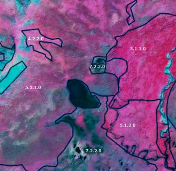 False-colour satellite map illustrating various land cover classifications in an unspecified local European region, likely demonstrating a Copernicus Land Monitoring Service (CLMS) nomenclature system such as CORINE Land Cover (CLC) or CLC+. The map displays distinct land cover polygons, outlined in black (except for one in teal), with associated numerical labels: - A large area in the upper-right and central-right is labelled `3.1.1.0`, indicating a sub-category of 'Woodland and Forest' and showing dense vegetation (red/pink tones). - An area in the upper-left, outlined in teal, is labelled `4.2.2.0`, representing a type of 'Grassland and other herbaceous vegetation'. - A broad area in the mid-left, with no distinct outline visible, is labelled `5.1.1.0`, corresponding to 'Heathland and Moorland'. - An area in the lower-right, also showing dense vegetation (red/pink tones), is labelled `5.1.2.0`, which refers to 'Other scrub land', including dwarf pines, thickets, and brushwoods as defined by the surrounding document text. - Two distinct dark blue/black water bodies, one in the centre and one in the lower-centre, are both labelled `7.2.2.0`, representing a specific class of 'Water and Wetness'. The imagery highlights different vegetation types through false-colour representation, with healthy vegetation appearing in red/pink hues. No scale, compass, or explicit geographic location is provided within the image, but the document context mentions examples from the Bavarian Alps, Germany, and Kiruna, Sweden, for the `5.1.2.0` class.