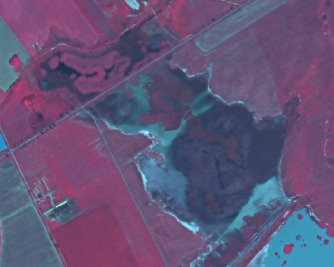 False-colour infrared satellite imagery displaying an aerial view of a landscape featuring agricultural fields and several water bodies. Healthy vegetation appears in shades of dark magenta and red, indicating active cultivation or dense natural vegetation, likely agricultural fields with distinct boundaries forming a grid-like pattern. Water bodies are depicted in various shades of blue and black; some areas are deep dark blue/black, while others appear lighter blue-green or whitish, suggesting shallower water, sediment, or emergent aquatic vegetation typical of wetlands. Straight linear features, likely roads or field divisions, traverse the landscape. No text labels, scale bar, or temporal information are visible.