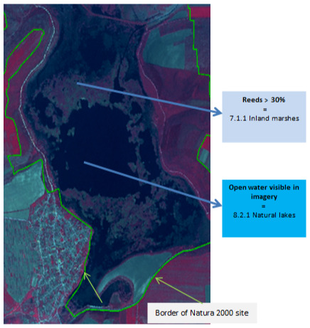 This satellite image, captured by SPOT-5 at 2.5 m resolution (1/2/3 band combination, suggesting false-colour infrared), illustrates land cover classification within a Natura 2000 site. A thick green line delineates the 'Border of Natura 2000 site'. Within this boundary, the primary features are classified: 1. A large, central dark blue area is identified as 'Open water visible in imagery', classified as '8.2.1 Natural lakes'. 2. Lighter blue/purple areas surrounding the open water, indicating vegetation, are labelled as 'Reeds > 30%', classified as '7.1.1 Inland marshes'. The imagery also shows adjacent land areas, likely agricultural or vegetated, rendered in shades of red and purple, with white linear features, possibly roads or tracks, visible along some boundaries.