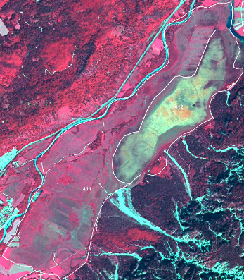 False-colour infrared composite map depicting a landscape with varied land cover. Dense vegetation, such as forests, appears in shades of dark red/magenta, primarily in the upper left and lower right sections. Open areas or agricultural land are depicted in lighter red/pink/brown. Water bodies and very wet areas are rendered in bright cyan/blue. A significant linear water feature (river) runs diagonally from the upper left towards the middle of the image, with several branching tributaries also in cyan. Two polygons are highlighted with white outlines. Polygon '411' is located in the central-left area, encompassing a mixed landscape with lighter red/pink vegetation and some blue/green patches, suggesting agricultural land or open fields. Polygon '412' is in the central-right, outlining a large wetland or shallow water body, characterized by light green/yellow/brown tones indicating marshy vegetation and shallow water, with distinct cyan patches of open water. No scale bar, compass, or specific geographic location is visible.