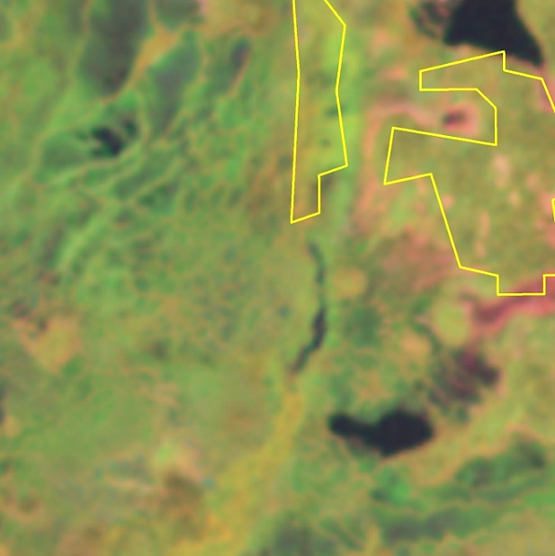 This satellite image depicts a natural landscape, likely composed of vegetation and small water bodies. The colouration suggests either a natural-colour or false-colour rendering, with a dominance of green hues for vegetated areas, interspersed with reddish-brown tones, and dark blue/black patches that appear to be small lakes or wetlands. Two irregularly shaped polygons are highlighted with a bright yellow outline. One polygon is located on the upper left-center of the image, appearing relatively elongated. The second, larger polygon is situated towards the upper right and center-right of the image, exhibiting a more complex, angular shape. No geographical labels, scale bar, compass, legend, or data source information is visible, preventing specific identification of land cover types or the purpose of the outlined polygons.