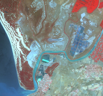 A false-color satellite image showing rice fields and surrounding landscapes in Doñana National Park, Spain, captured on 2011-08-11 by SPOT-5 at 2.5 m resolution using a 1/2/3 Band Combination. The image depicts several distinct land cover types characteristic of coastal and agricultural environments. Large, regularly gridded areas in the upper-right and central-right portions display a vivid blue hue, identifying them as flooded rice fields or other wet agricultural land. Extensive areas of healthy vegetation, including fields and natural cover, appear in various shades of red and dark red, prominent in the upper-right and along the lower-left coastline. A prominent body of water, likely an estuary or river, winds through the center of the image, appearing turquoise to light blue, connecting to a larger, darker blue water body on the left, possibly the Atlantic Ocean or a bay. Areas of brownish-tan and lighter brown indicate bare soil, mudflats, or less vegetated terrain. Small, scattered bright red/pink patches represent built-up areas or settlements. This imagery illustrates landscapes, potentially including salt marshes transformed into agriculture. The source is CNES 2011©, Distribution Airbus DS/Spot Image.