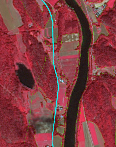 A false colour infrared aerial map displays a rural landscape dominated by vegetation, water bodies, and human infrastructure. A dark blue/black river flows longitudinally along the right side of the image. Parallel to this river, a prominent light blue linear feature, likely a road or a path, curves through the left-central portion of the map. The majority of the land is covered by bright red areas, indicating healthy vegetation, characteristic of forests and actively growing agricultural fields. Interspersed with these red areas are lighter brown/tan patches, suggesting areas of bare soil, less vigorous vegetation, or possibly harvested fields. Numerous distinct polygonal shapes, outlined in green, demarcate various land parcels, including fields and forested sections. A small, dark blue/black water body (pond or lake) is visible on the left side of the image, west of the light blue linear feature. Scattered small white or grey pixels suggest individual buildings or small settlements, particularly along the light blue linear feature. No scale bar, compass, legend, or acquisition date is present.