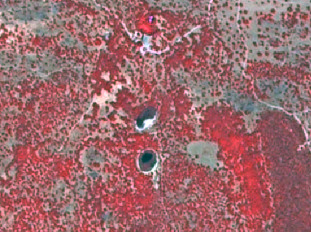 An aerial photograph illustrating the correct interpretation method for delimiting water bodies based on the current water level. The setting is a reservoir in the Canary Islands, Spain. The image displays a landscape predominantly covered by dense, reddish vegetation, indicative of forests or shrublands, likely in a false-colour infrared composite. Two prominent, dark, circular water bodies are visible, representing lakes or reservoirs. Several lighter-coloured, winding linear features traverse the landscape, appearing to be tracks or roads, alongside patches of lighter grey-green areas indicating sparser vegetation or bare ground. The associated text confirms: 'Delimitation of water bodies using the current water level. This is the **correct interpretation**.' Credit is attributed to M. Palacios.