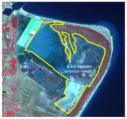 This is a satellite image illustrating the Copernicus Land Monitoring Service (CLMS) land cover classification '8.3.1 Lagoons (without reeds)'. The image depicts a coastal lagoon, visible as a large body of blue/turquoise water, separated from the open sea (darker blue) by a narrow land barrier composed of reddish-toned sparse vegetation and sand. A prominent yellow polygon outlines the area classified as '8.3.1 Lagoons (without reeds)', encompassing the main water body and adjacent lighter-coloured, possibly muddy or shallow water areas, particularly along the internal shores. To the left of the main lagoon, a series of rectangular parcels are visible, some containing light green water and others dark ground, suggesting human-modified areas like aquaculture ponds or salt pans. The surrounding land shows reddish tones indicating vegetation. Based on metadata from a closely related image within the document, this imagery is likely derived from SPOT-5 satellite data, acquired on 2011-02-05, with a 2.5 m resolution using a 1/2/3 band combination, and depicts a location consistent with the Limnes Voulkaria Kai Saltini Natura 2000 site in Greece.