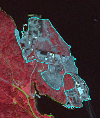 The image is a false-colour infrared satellite map depicting a coastal port or industrial facility. The main complex is outlined by a light blue (cyan) polygon and shows a dense arrangement of grey-toned artificial surfaces (buildings, paved areas, bare ground) and some interspersed dark red vegetated areas. This large delineated area also contains several smaller, internal light blue polygons, indicating sub-divisions within the facility. The surrounding land to the west is predominantly covered by dark red vegetation, characteristic of forests or dense shrubland in false-colour infrared imagery, with some areas outlined by thin green lines. A large dark blue/black body of water, representing the sea or ocean, borders the facility on its eastern and southern sides. No scale bar, compass, or date information is visible.