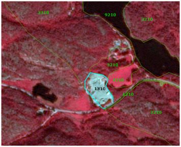 The image is a false-colour satellite map showing land cover delineations with superimposed numerical codes. The imagery likely uses a 1/2/3 band combination, similar to SPOT-5 (2.5m) imagery from 2010–2011 referenced in the document context, where healthy vegetation appears red. The specific geographic location is not stated. Several distinct land cover polygons are outlined: * An area outlined in cyan and labelled `1310` represents a light-coloured, bare ground feature, consistent with 'Mineral extraction, dump and construction sites' as per the document's delineation rules for active gravel pits (1.3.1.0). * Multiple areas outlined in green or dark green/black and labelled `9210` show dense red vegetation (forests) adjacent to dark water bodies, consistent with 'Riparian forests and scrub habitats'. * A large vegetated area, outlined in green and labelled `3310`, displays dense red vegetation, which, based on the document's context for non-active gravel pits showing bushes, is visually consistent with 'Transitional woodland and scrub' (3.4.1.0). * Two areas outlined in green and labelled `1210` show reddish-brown, bare or sparsely vegetated disturbed ground adjacent to the main pit area. * One additional area in the lower right is outlined in green with an `[unreadable]` label. The map illustrates the classification and delineation of various land cover types, including an active extractive site and its surrounding natural and semi-natural areas.