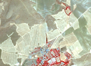 This is a false-colour satellite or aerial image depicting a rural landscape. The image is dominated by various shades of light yellow, tan, green, and prominent red areas. Light yellow and tan patches with distinct linear boundaries represent agricultural fields, some appearing fallow or harvested, showing patterns of cultivation. Darker green and brown areas likely indicate denser vegetation or scrubland, often bordering the fields. A prominent linear feature, appearing white or light grey, traverses the upper right and central parts of the image, consistent with a road or major track. In the lower-central part, a small settlement is visible as a cluster of red and light-coloured features, suggesting urban areas with dense vegetation or specific roof types in this false-colour scheme. Patches of intense red within and surrounding the settlement, as well as in some agricultural fields, typically represent healthy vegetation in infrared composites. No scale bar, compass, or textual annotations are present.