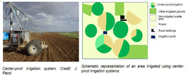 This composite image features a photograph of a center-pivot irrigation system and a schematic diagram illustrating the resulting land use patterns. The photograph, credited to J. Pecci, shows the mechanical structure of a mobile center-pivot irrigation system with its long, trussed pipeline on wheels traversing a tilled agricultural field under an overcast sky. The adjacent schematic diagram, titled 'Schematic representation of an area irrigated using center-pivot irrigation systems,' depicts different land cover and infrastructure elements within an agricultural landscape. The legend defines the colour and pattern coding: * **Center-pivot irrigation** is represented by circular or partial circular areas segmented into dark green (irrigated) and beige (non-irrigated) portions. * **Other irrigated parcels** are shown as solid dark green rectangular or irregular polygons. * **Non-irrigated arable land** is depicted with a striped beige pattern, filling the areas not covered by irrigation. * **Roads** are indicated by thin white lines. * **Rural buildings** are represented by small black rectangles. * **Irrigation pond** is shown as a dark blue rectangle, with one central pond among several circular irrigation fields. The schematic illustrates the characteristic circular and segmented land cover patterns created by center-pivot irrigation, interspersed with other irrigated and non-irrigated parcels, roads, buildings, and water infrastructure.